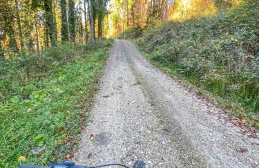 Alb-Suite Family Friendly Premium 2BR Apartment - Photo 24