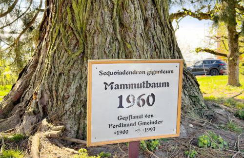 Bergchalet Mirabell - Hofgut - Foto 62