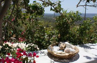 Thelea Mani - Foto 50