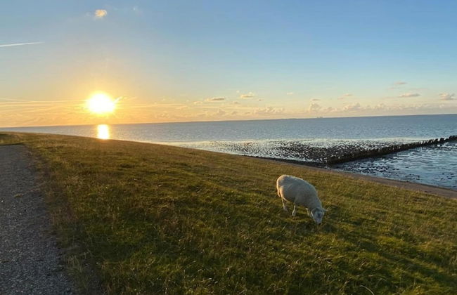 Bungalow in Sondel Near Slotermeer Lake - Foto 39