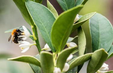 Residence Casa Rosa - Foto 36