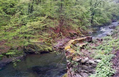 Bungalow Schwarzatalblick in Bad Blankenburg Ortsteil Böhlscheiben - Foto 61