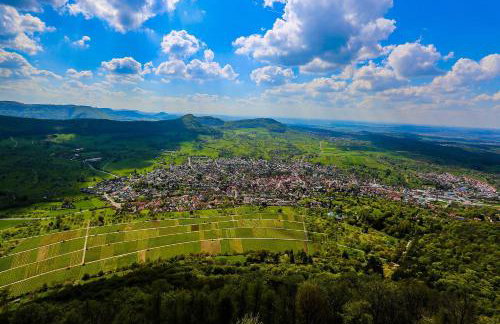 Ferienwohnung Hogh, 55qm, Terrasse - Foto 31