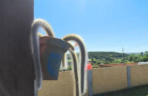 Recanto quatro estacoes - Foto 42