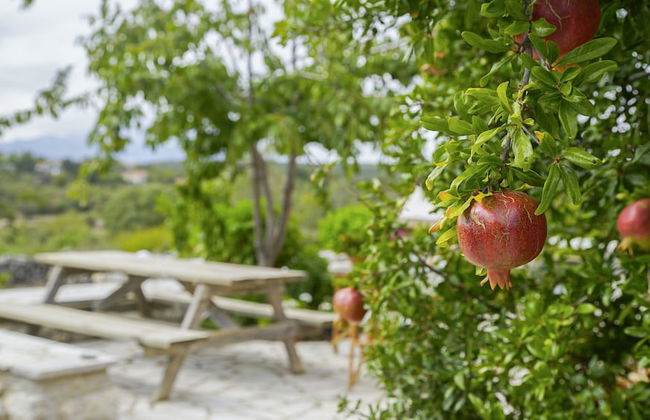 Stone House For You - Photo 20