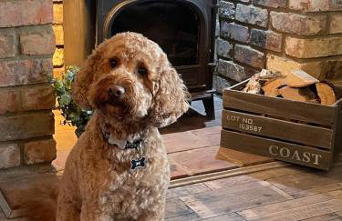 Den of Joy Humberston Fitties sleeps 6,hot tub,log burner - Foto 22