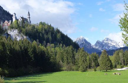 Ferienwohnung Allgäuer Landhaus Stocker in Hopferau-Füssen - Foto 52