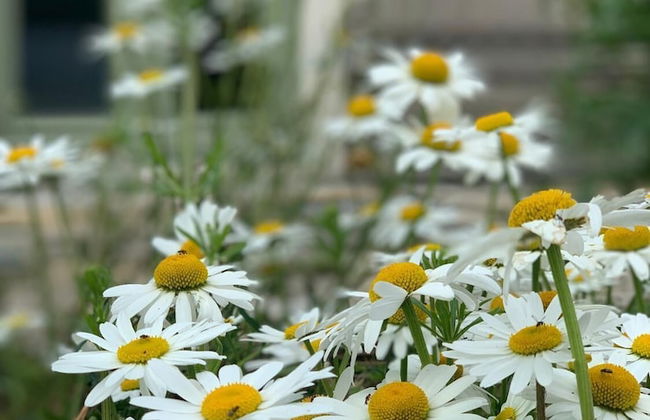 Hillcrest Barn - Foto 10