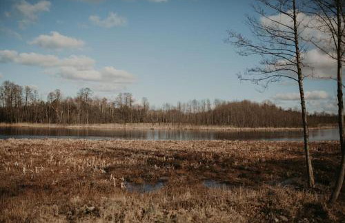 Zielony domek nad jeziorem Mazurskie klimaty - Foto 69