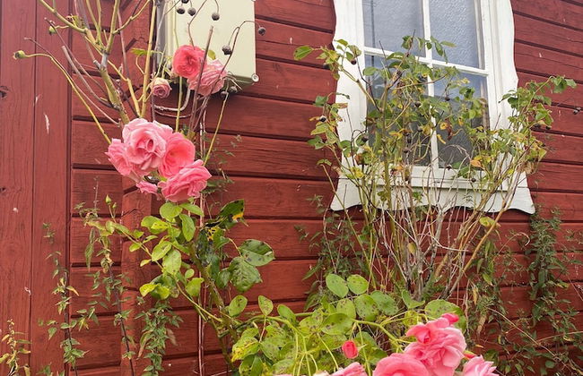 Hälluddens Stugby och Vandrarhem - Foto 27