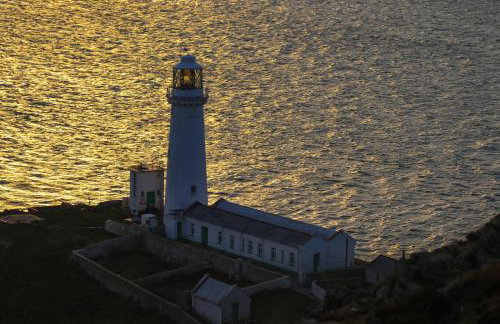 Penrhos Walks - Foto 53