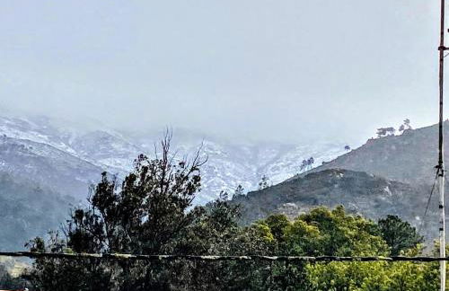 Casa Amarela - Aldeias - Serra da Estrela - Foto 5