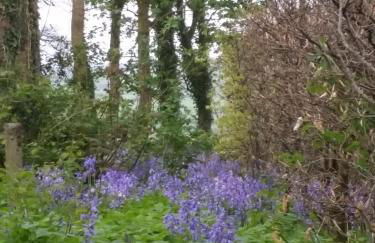 Dromore House Historic Country house - Foto 72