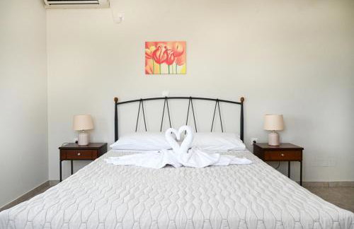 Akrothalassia - Photo 55