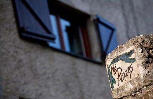 Mas Pinoses - Foto 4