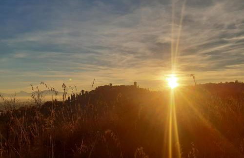 mansio maritima - Foto 76