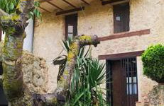 Las Casicas del Tío Ángel-B - Foto 7