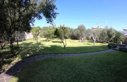 Case vacanza "Gli Ulivi" - Foto 6