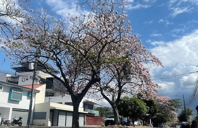 Casa Bellavista - Foto 44