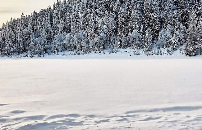 6 Person Holiday Home in Passebekk-by Traum - Photo 12