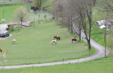 Ferienwohnung Waldoase am Fuchsenstein - Foto 20