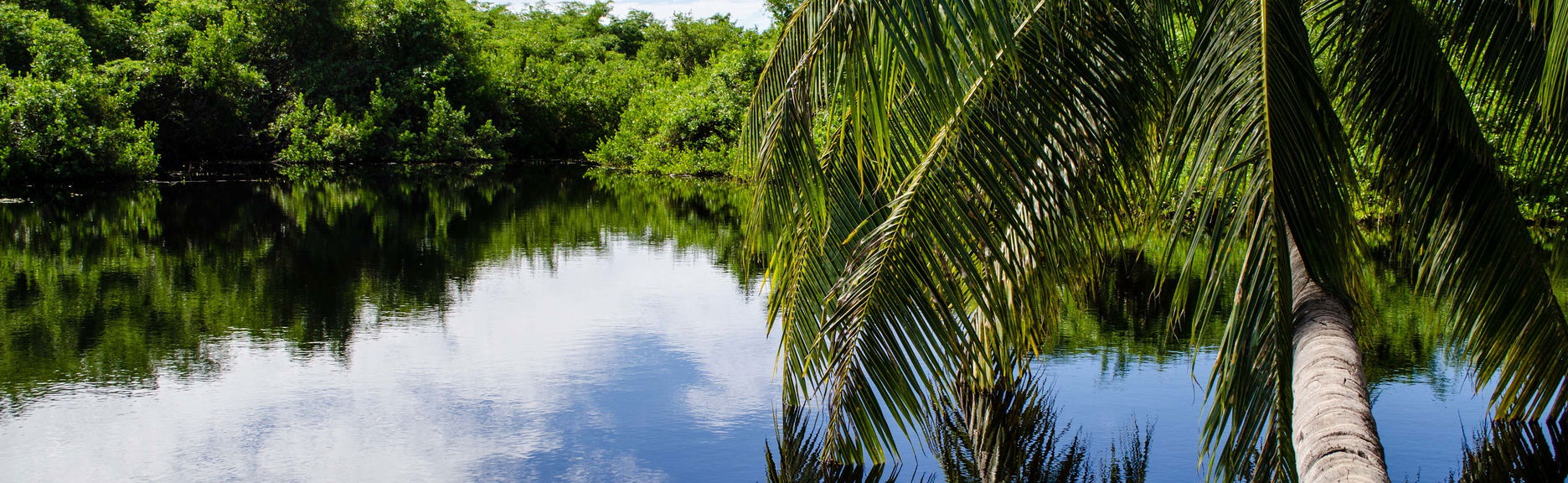 East End Trip - Foto 1