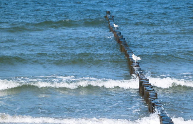 Ferienresidenz Haffblick in Boltenhagen - Photo 22