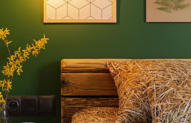 Green Deer Premium - Foto 18