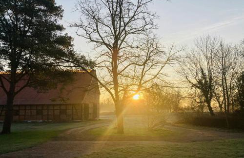 Idyllic Vacation Home In The Elbe Floodplains - Foto 18