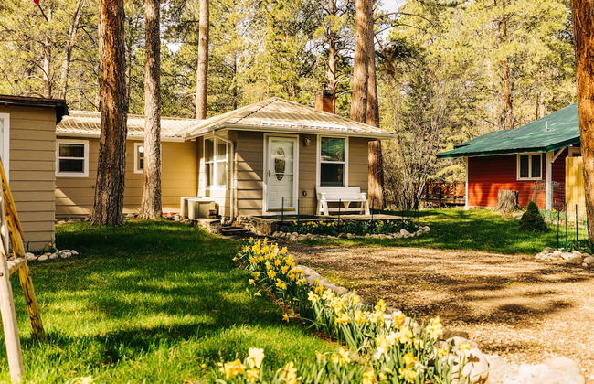 Serene Creek Side Cottage Retreat - Foto 26