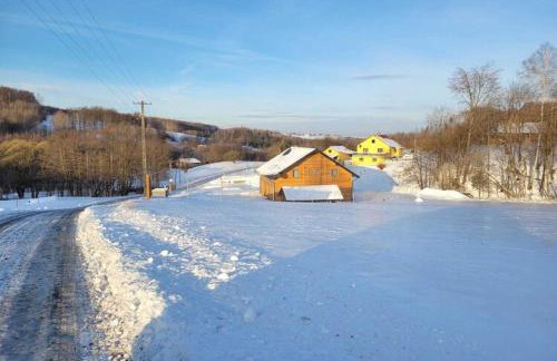 Holiday Home Wi niowa with Pool and Nature - Photo 33