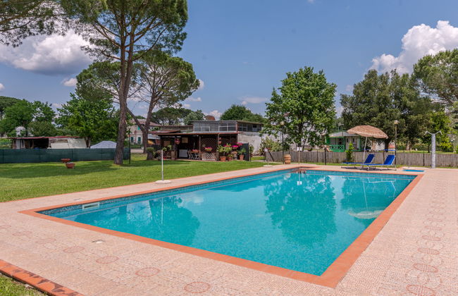 Marinpietri - Foto 5