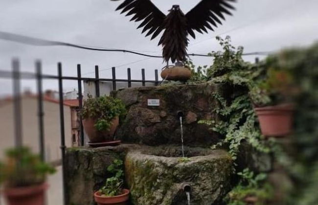 Aguas del Venero - Photo 48