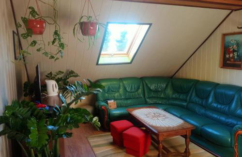 Agroturystyka u Basi śniadanie wliczone w cenie - Foto 8