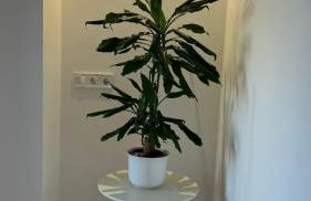 El Faro Apartaments Suites - Plaça de la Font - Foto 10