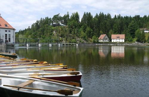 Ferienhaus Nr 8D, Feriendorf Hagbügerl, Bayr Wald - Foto 11