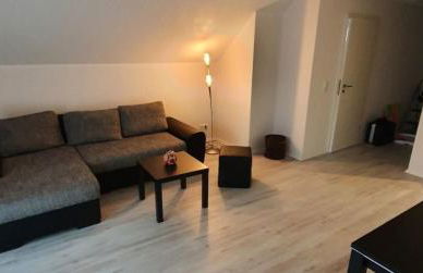 Ferienwohnung an der Mosel, Romeo - Foto 8