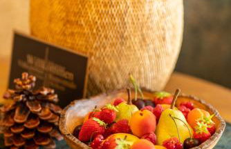 FONTIS luxury spa lodge - Photo 42