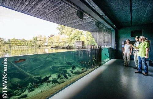 Ferienwohnung KonradAlbrecht - Foto 39