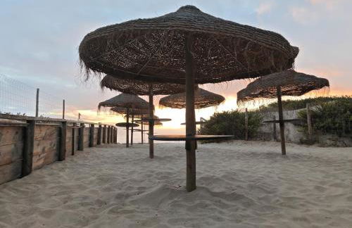 Meu Moinho - Foto 31