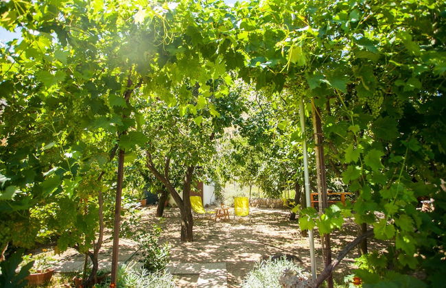 House With Large Garden, Right Next to the River - Foto 36