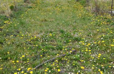 Agriturismo il Rovere - Foto 15