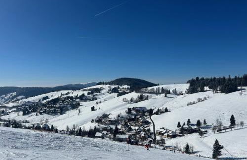 Berghof Almzeit - Fewo "Heuboden", Sauna , Todtnauberg, Feldberg - Foto 22