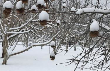 Blessings Chalet στον Παλαιό Άγιο Αθανάσιο με Τζάκι, Barbeque, μεγάλη αυλή και υπέροχη θέα - Foto 37