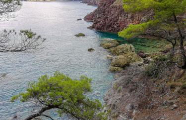 La notte sull'isola - Montaretto - tra il cielo e il mare - Foto 65