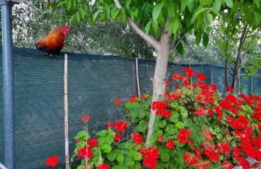 Angelo's Country House - Foto 39