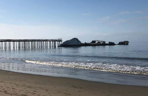 Spruce Beach Cottage - Walk to beach - Photo 38