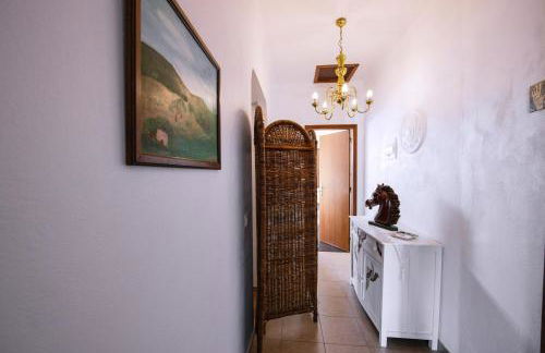 Os 5 Sentidos - Foto 60