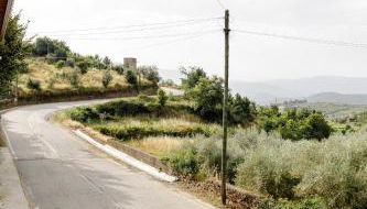 Casa das Nogueiras - Foto 3