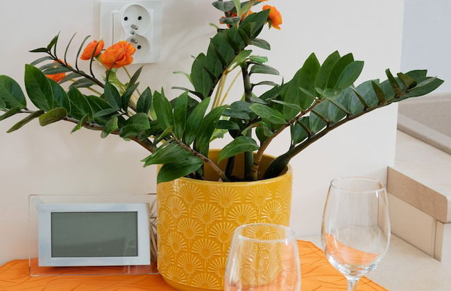 Sunny Seaside Apartment by Renters - Foto 78